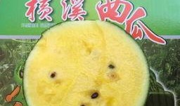 娱乐吃瓜图片图文素材高清,揭秘娱乐圈幕后故事